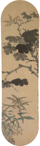 Diseño de skate «Arte chino · Plantas en flor»: Arte clásico, Arte chino, Dominio público, Museo, Plantas, Hojas